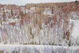 NHN Gold Mine Trail - Photo 6