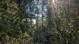 Mile 326 Parks Highway - Photo 12