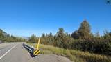 Mile 326 Parks Highway - Photo 2