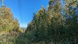 Mile 326 Parks Highway - Photo 3