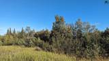 Mile 326 Parks Highway - Photo 5