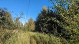 Mile 326 Parks Highway - Photo 9