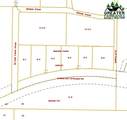 Lot D-6 Chena Hot Springs Road - Photo 3