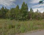 Lot D-6 Chena Hot Springs Road - Photo 5