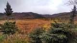 Mile 262 Parks Highway - Photo 4