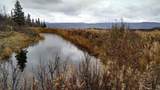 Mile 262 Parks Highway - Photo 5