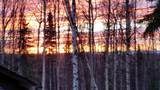 299 Eagle Ridge Road - Photo 49