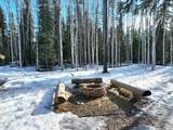 2235 Blackstone Road - Photo 45