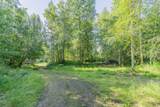 858 Crazy Horse Way - Photo 3