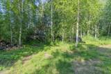 858 Crazy Horse Way - Photo 6