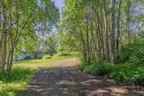 858 Crazy Horse Way - Photo 8