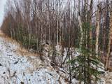 NHN Leuthold Drive - Photo 9