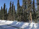 NHN Harding Drive - Photo 4
