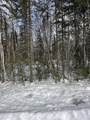 1642 Woll Road - Photo 4