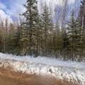 NHN Capricorn Street - Photo 4