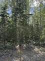 15082 Richardson Highway - Photo 3
