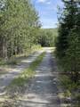 15082 Richardson Highway - Photo 5