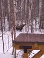 488 Eagle Ridge Road - Photo 47