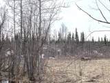 1731 Old Steese Highway N - Photo 16