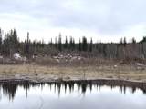 1731 Old Steese Highway N - Photo 19