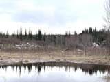 1731 Old Steese Highway N - Photo 20