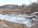1731 Old Steese Highway N - Photo 29