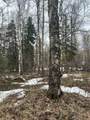 NHN Peregrine Ridge Road - Photo 1