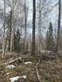 NHN Peregrine Ridge Road - Photo 2