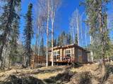 1011 Old Chatanika Trail - Photo 1