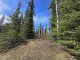 NHN Richardson Highway - Photo 22