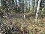 NHN Richardson Highway - Photo 23