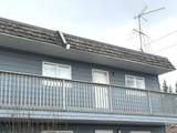 1601 Marika Road - Photo 7