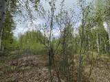4249 Chena Hot Springs Road - Photo 10