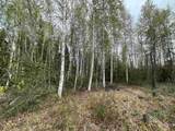 4249 Chena Hot Springs Road - Photo 11