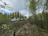 4249 Chena Hot Springs Road - Photo 12