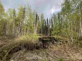 4249 Chena Hot Springs Road - Photo 17