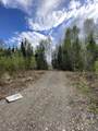 4249 Chena Hot Springs Road - Photo 23