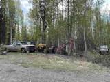 4249 Chena Hot Springs Road - Photo 3