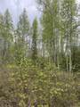 4249 Chena Hot Springs Road - Photo 4