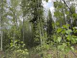 4249 Chena Hot Springs Road - Photo 5