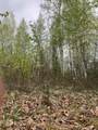 4249 Chena Hot Springs Road - Photo 6