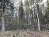 4249 Chena Hot Springs Road - Photo 7