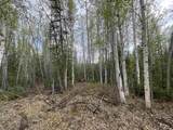 4249 Chena Hot Springs Road - Photo 8