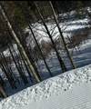 NHN Chena River - Photo 5