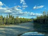 NHN Ft. Greely Ridge Road - Photo 3