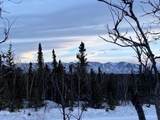 NHN Ft. Greely Ridge Road - Photo 4