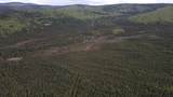 NHN Ester Drive - Photo 38