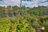 1608 Bridgewater Drive - Photo 50
