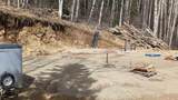 1228 Cartleb Road - Photo 5