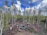 4835 Himilaya Road - Photo 28
